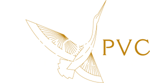 action pvc logo blanc